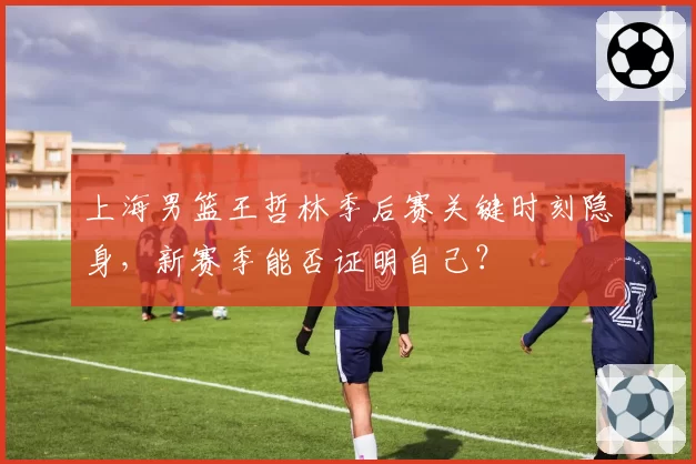 上海男篮王哲林季后赛关键时刻隐身,新赛季能否证明自己?