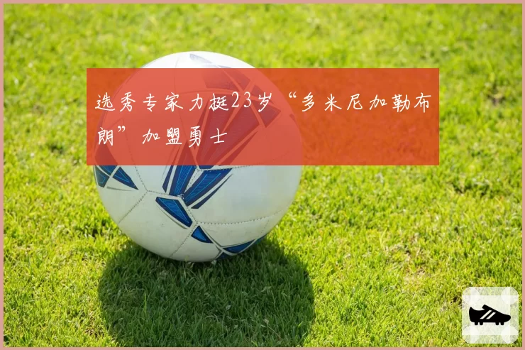 选秀专家力挺23岁“多米尼加勒布朗”加盟勇士